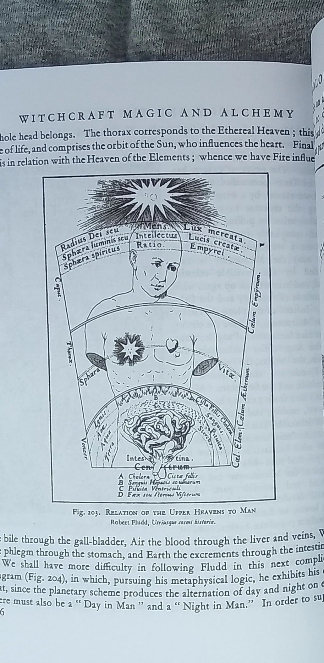 20261008_160101.jpg