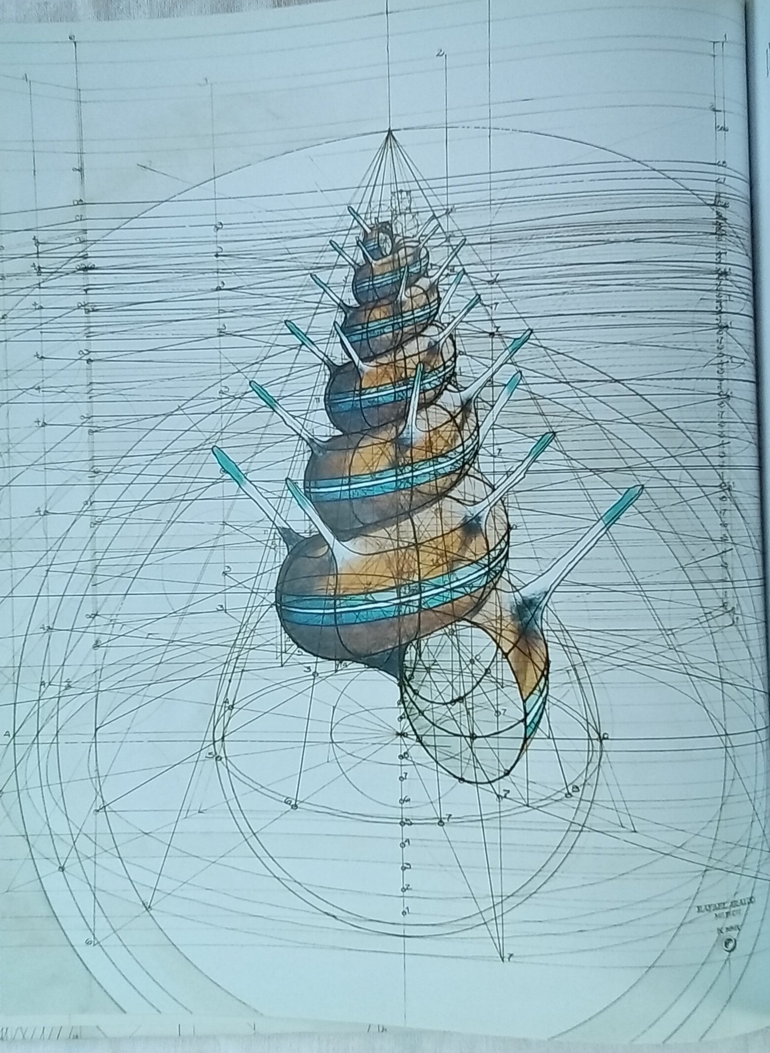 1000062993.jpg