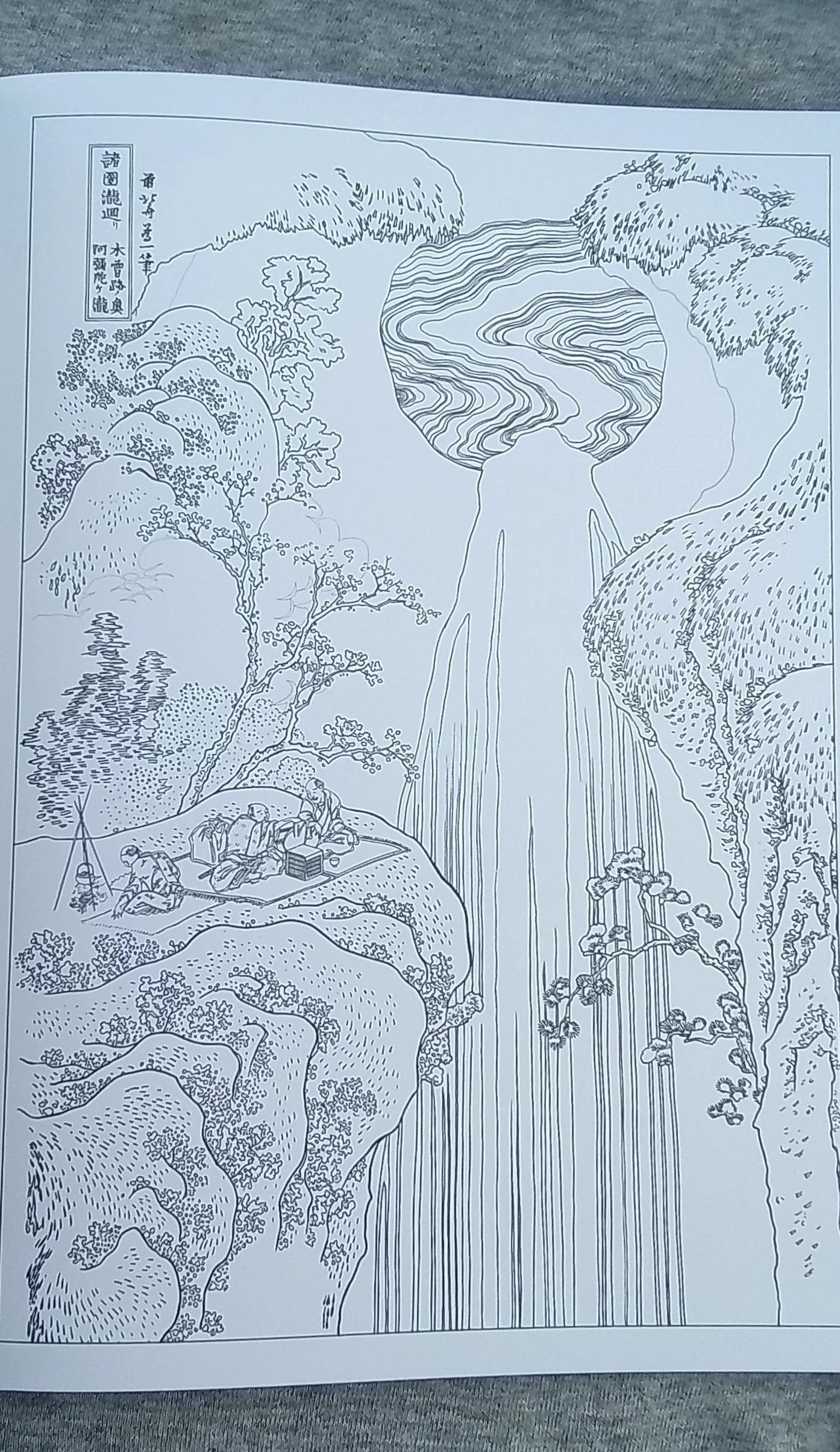 1000127486.jpg
