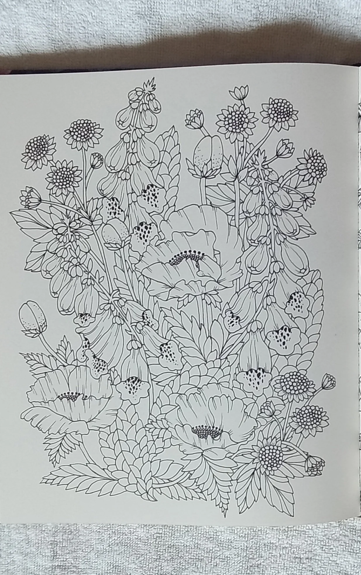 1000122481.jpg