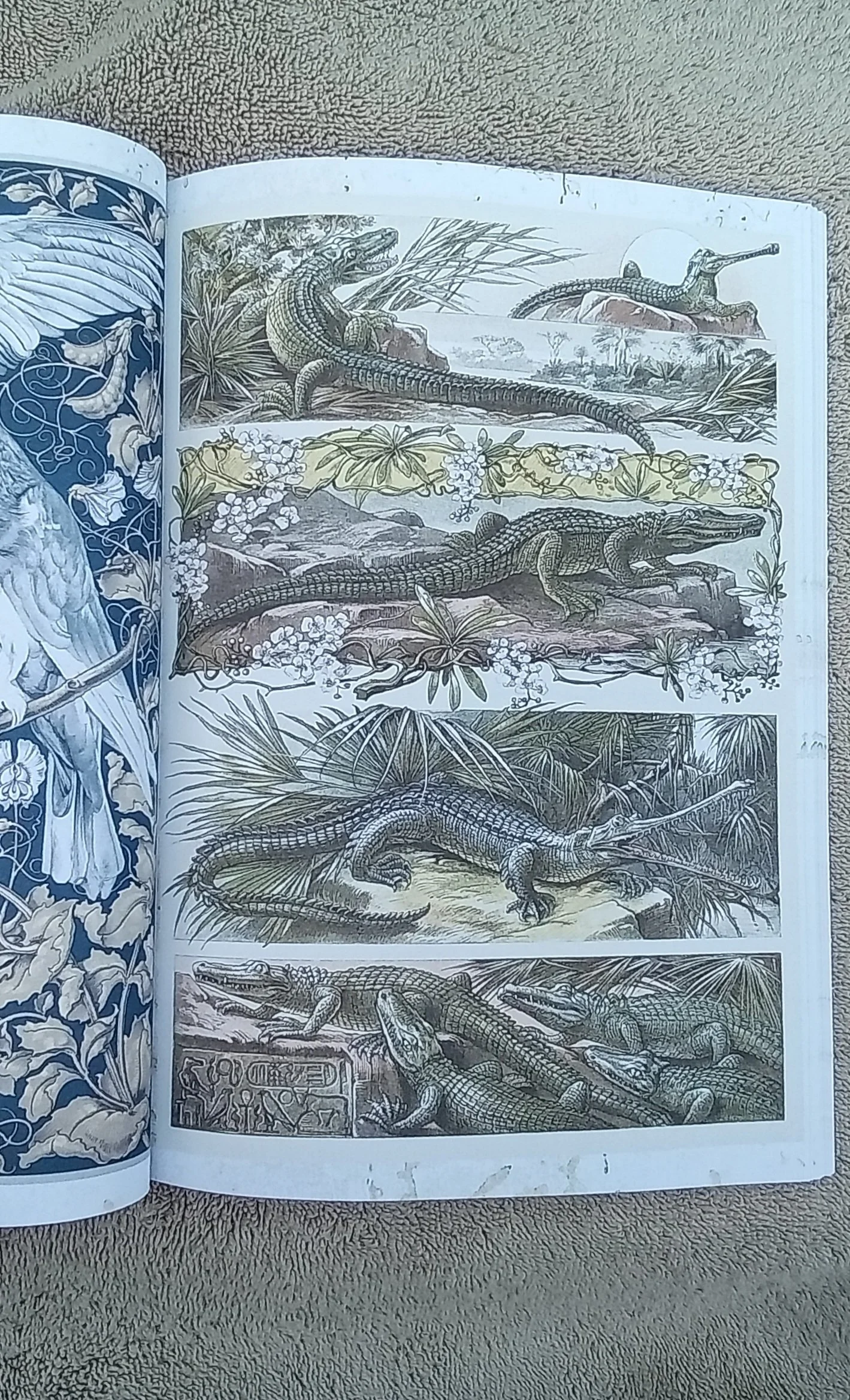 1000096074.jpg