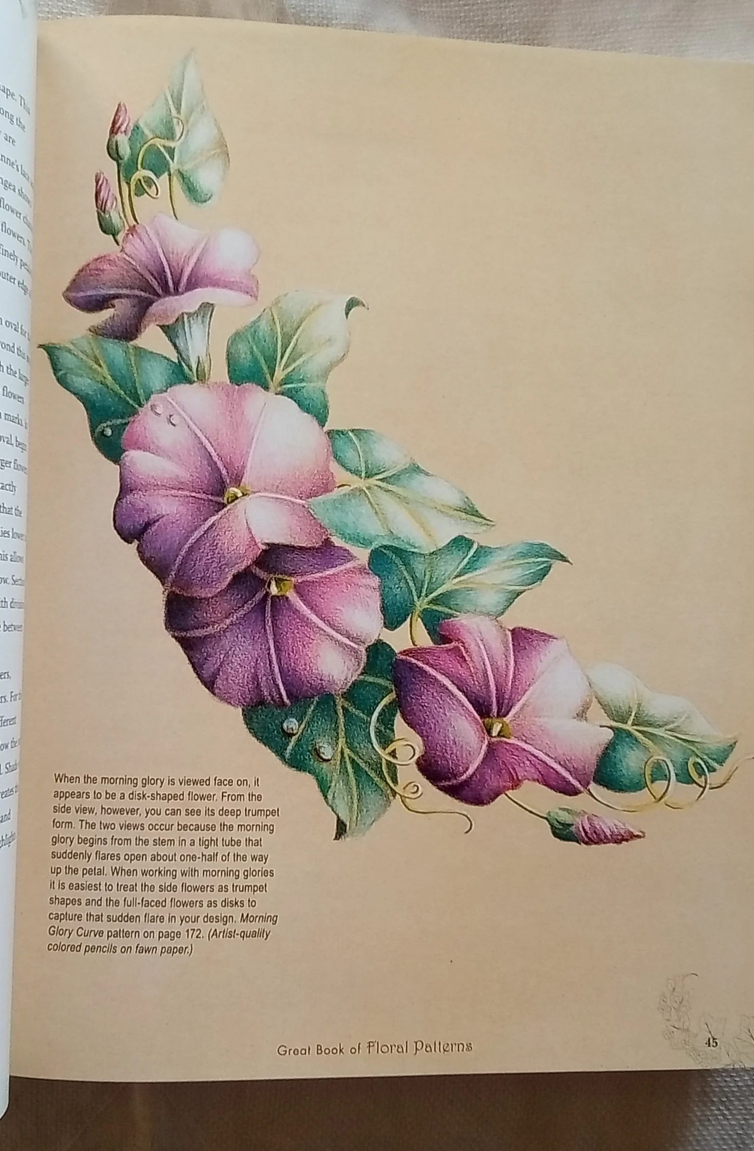 1000105610.jpg