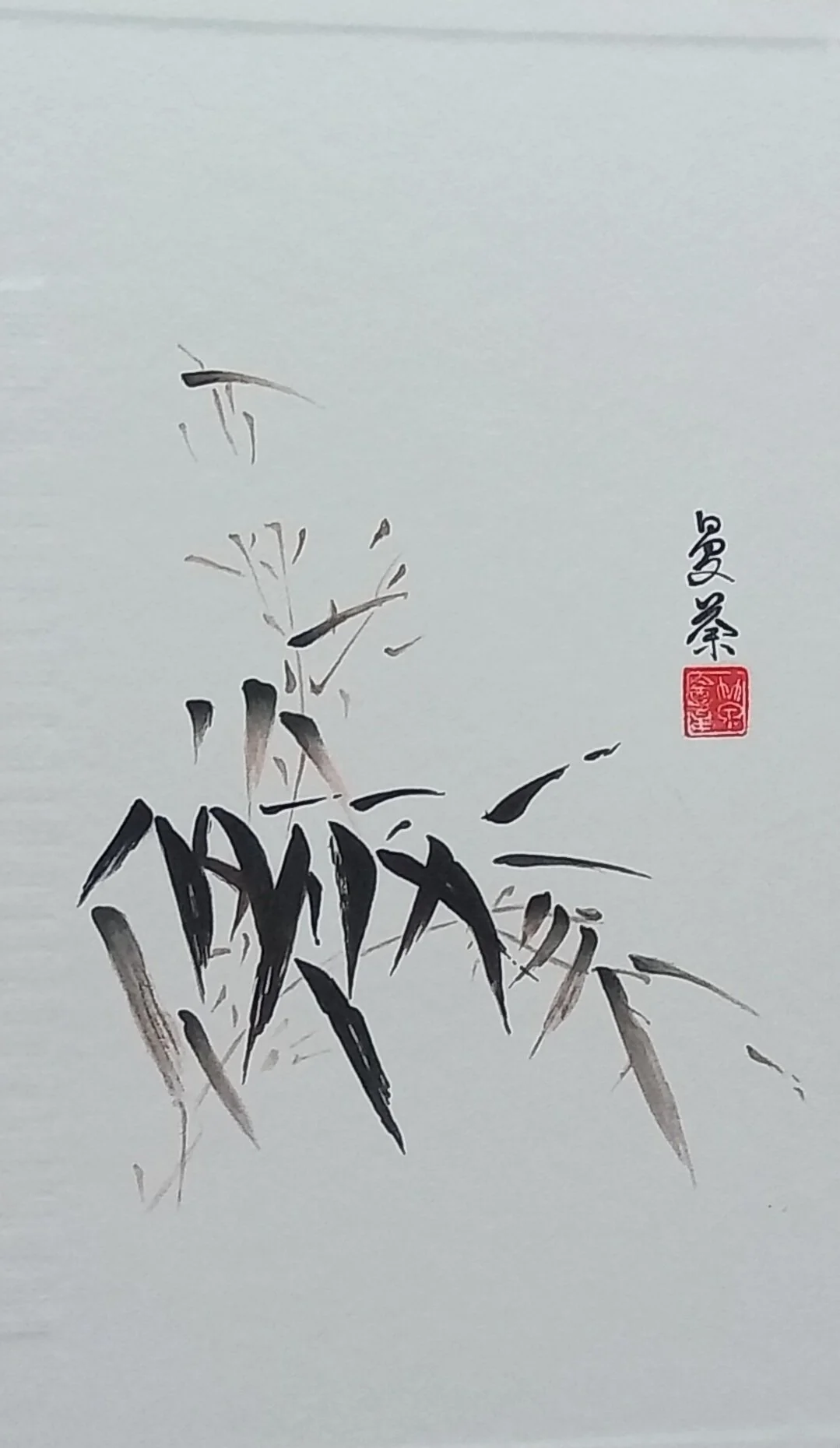 1000119909.jpg