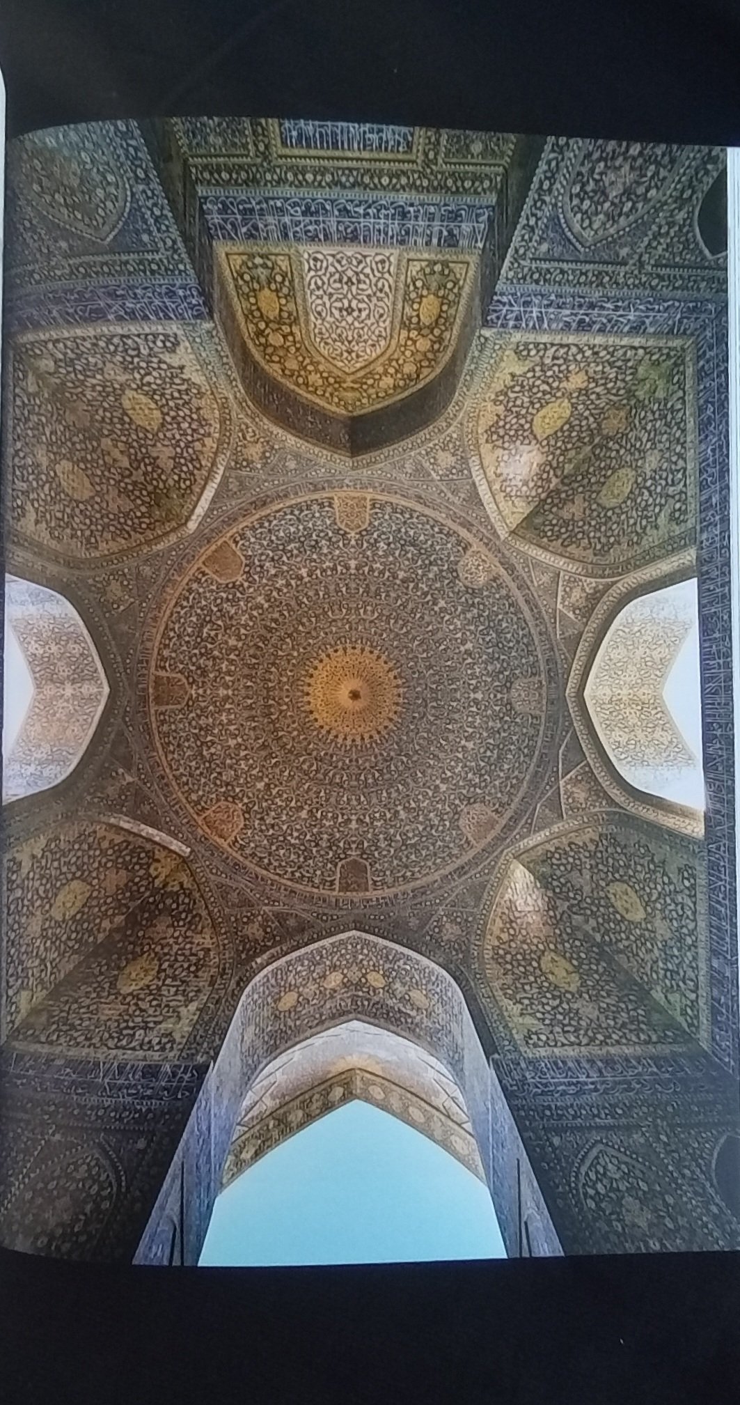 1000126124.jpg