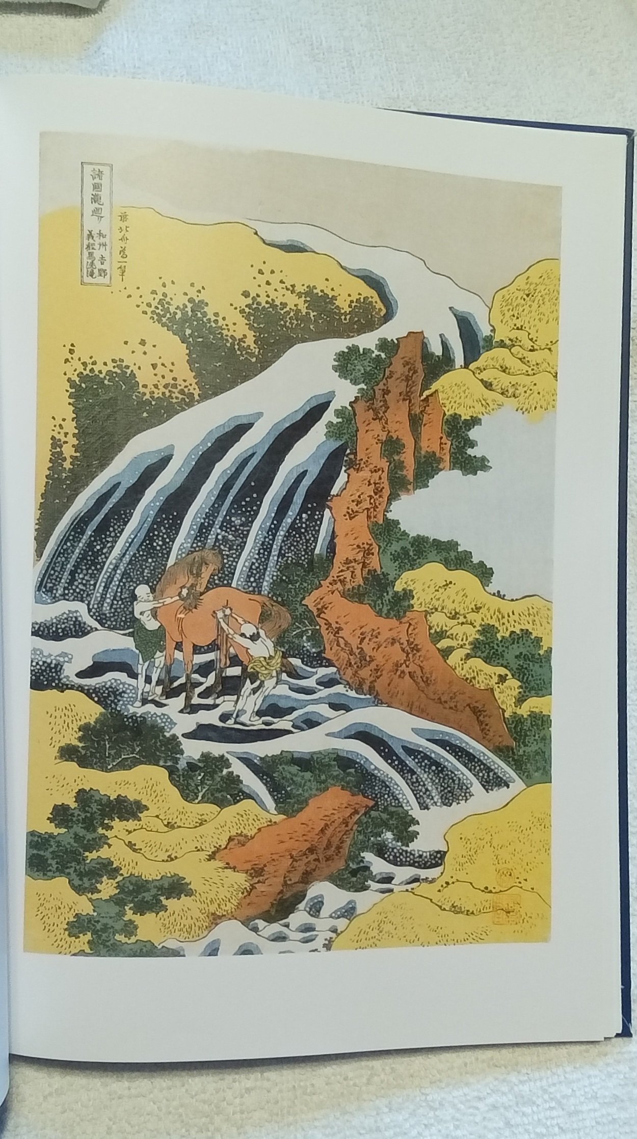 1000086800.jpg