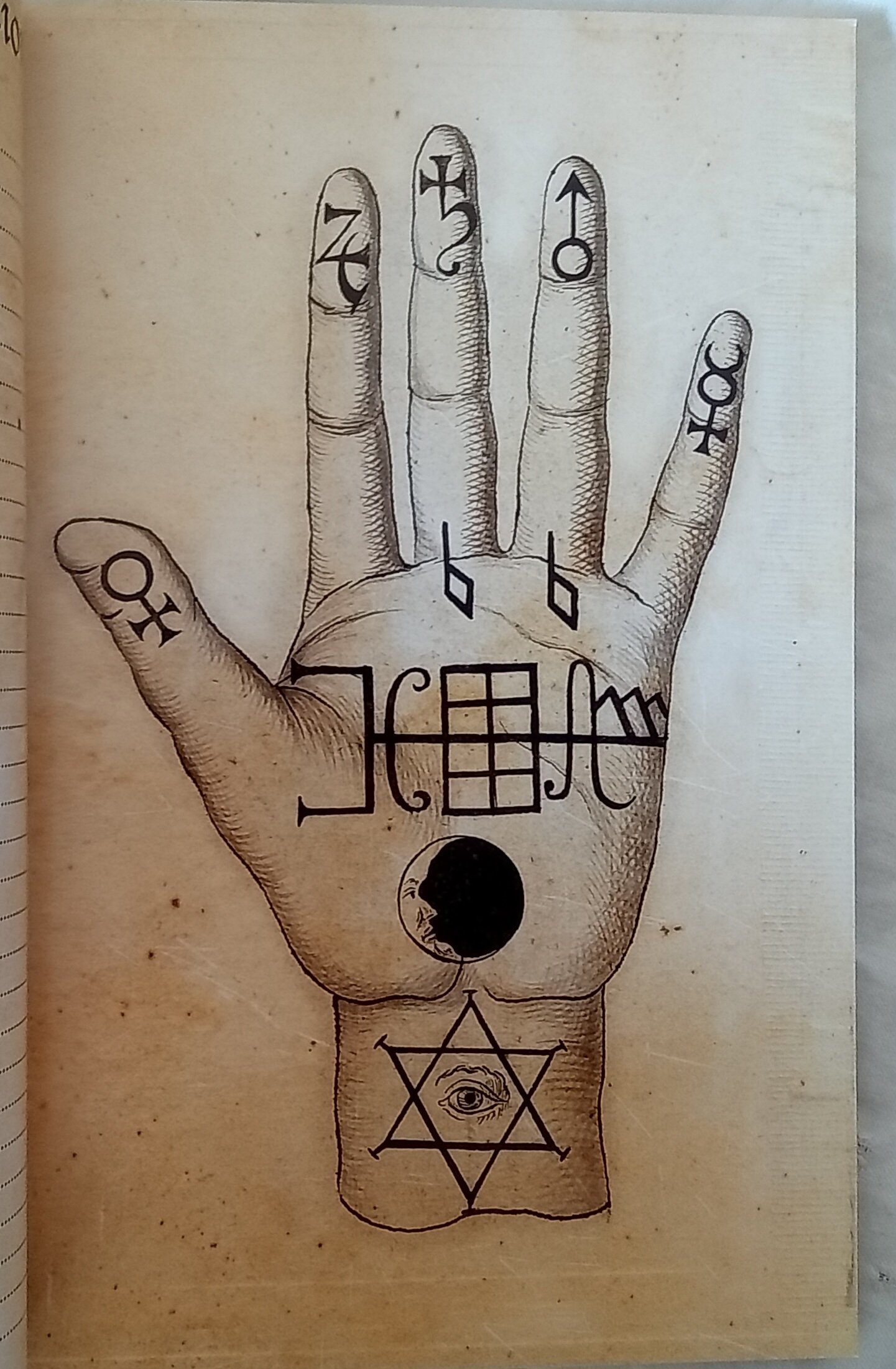 1000067768.jpg