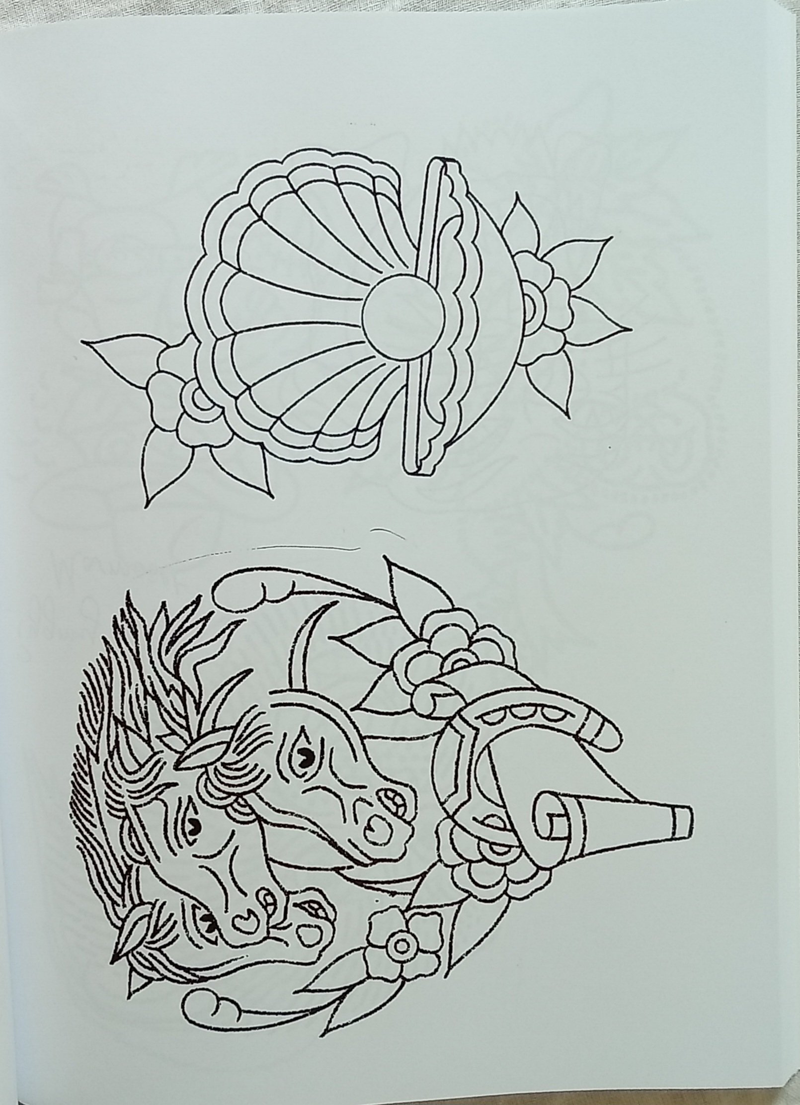 1000066793.jpg