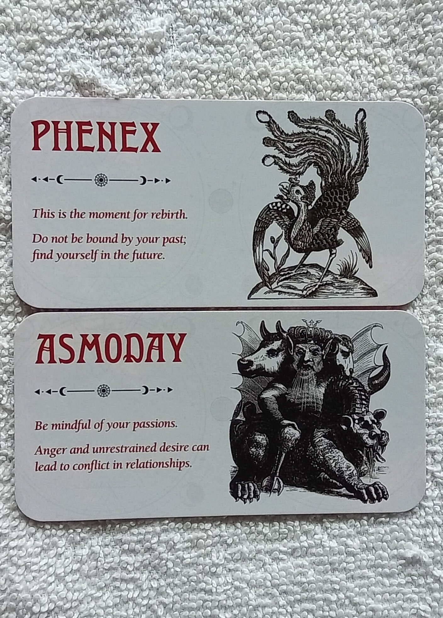 1000091171.jpg