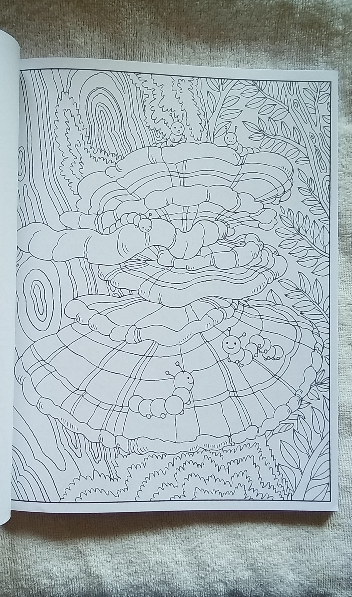 20260806_150355.jpg