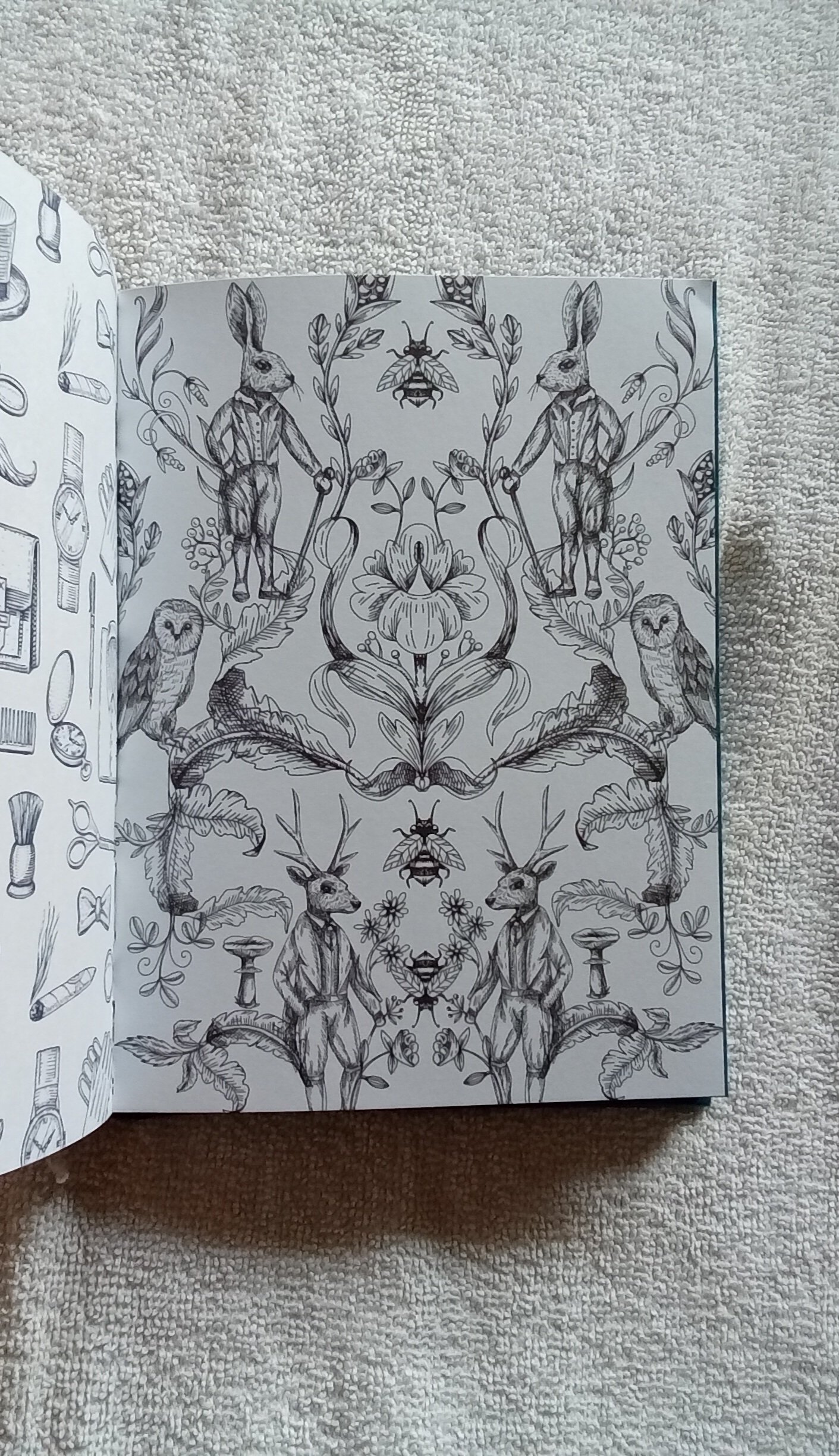 1000079922.jpg