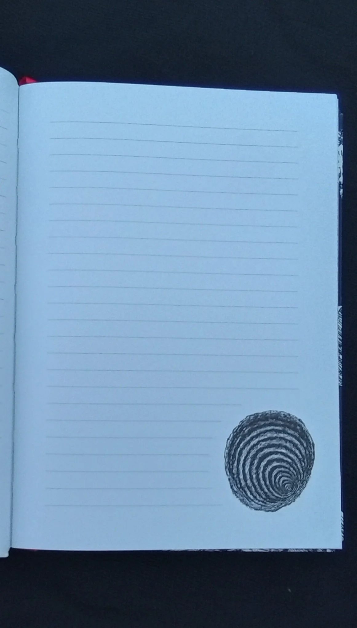 1000126836.jpg