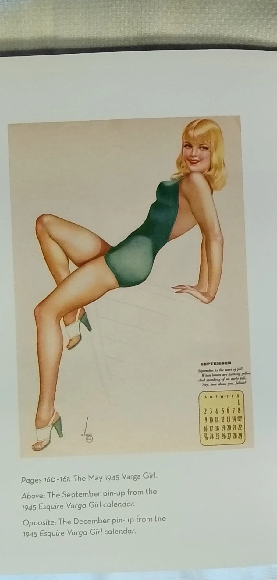 1000105217.jpg