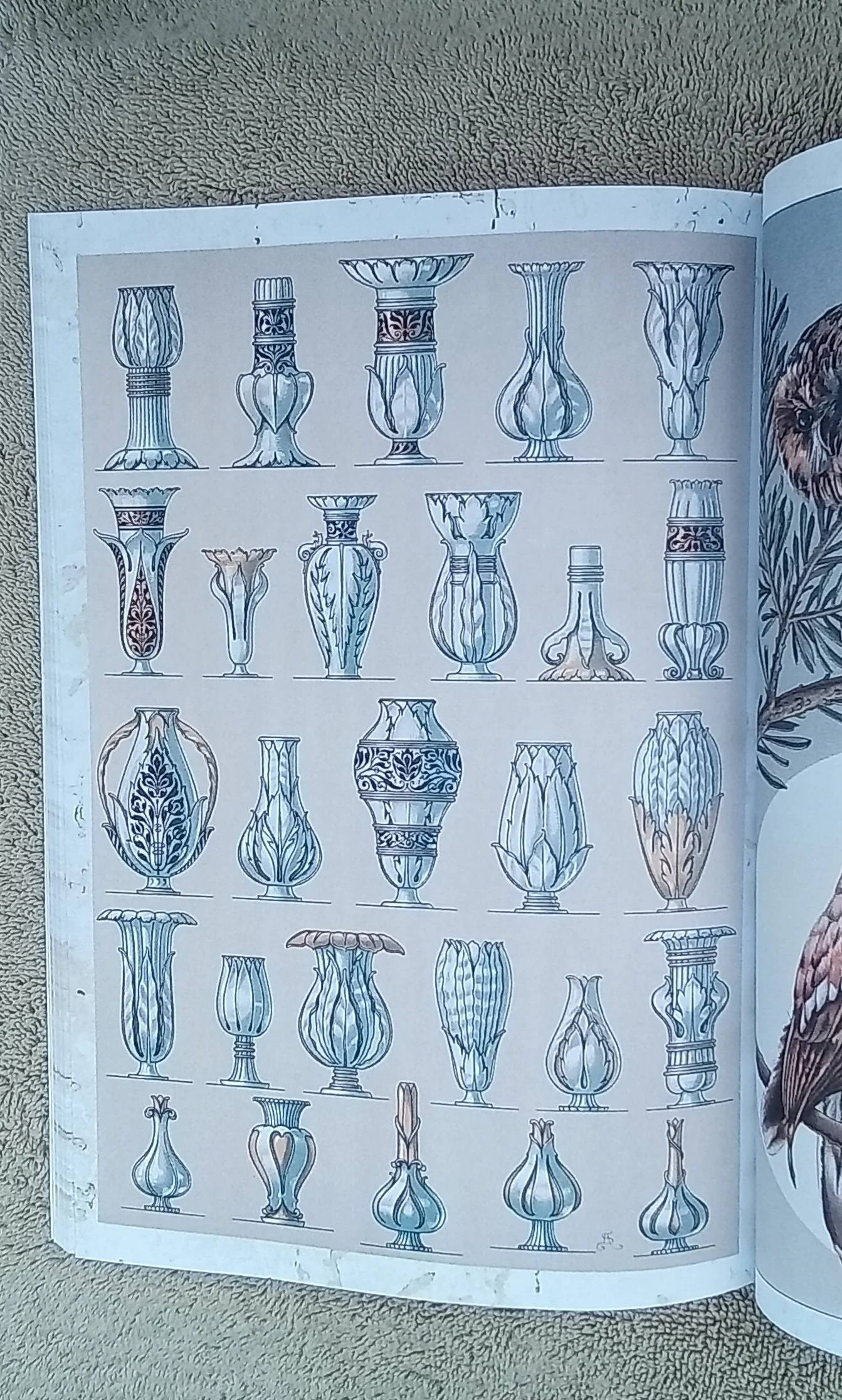 1000096077.jpg