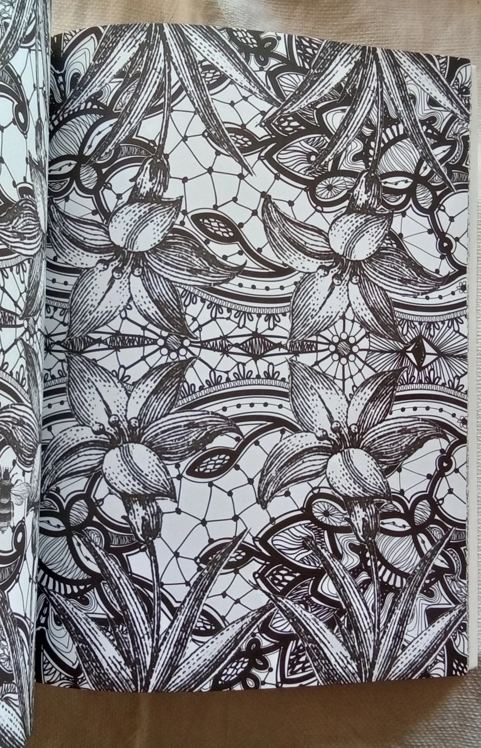 1000105631.jpg
