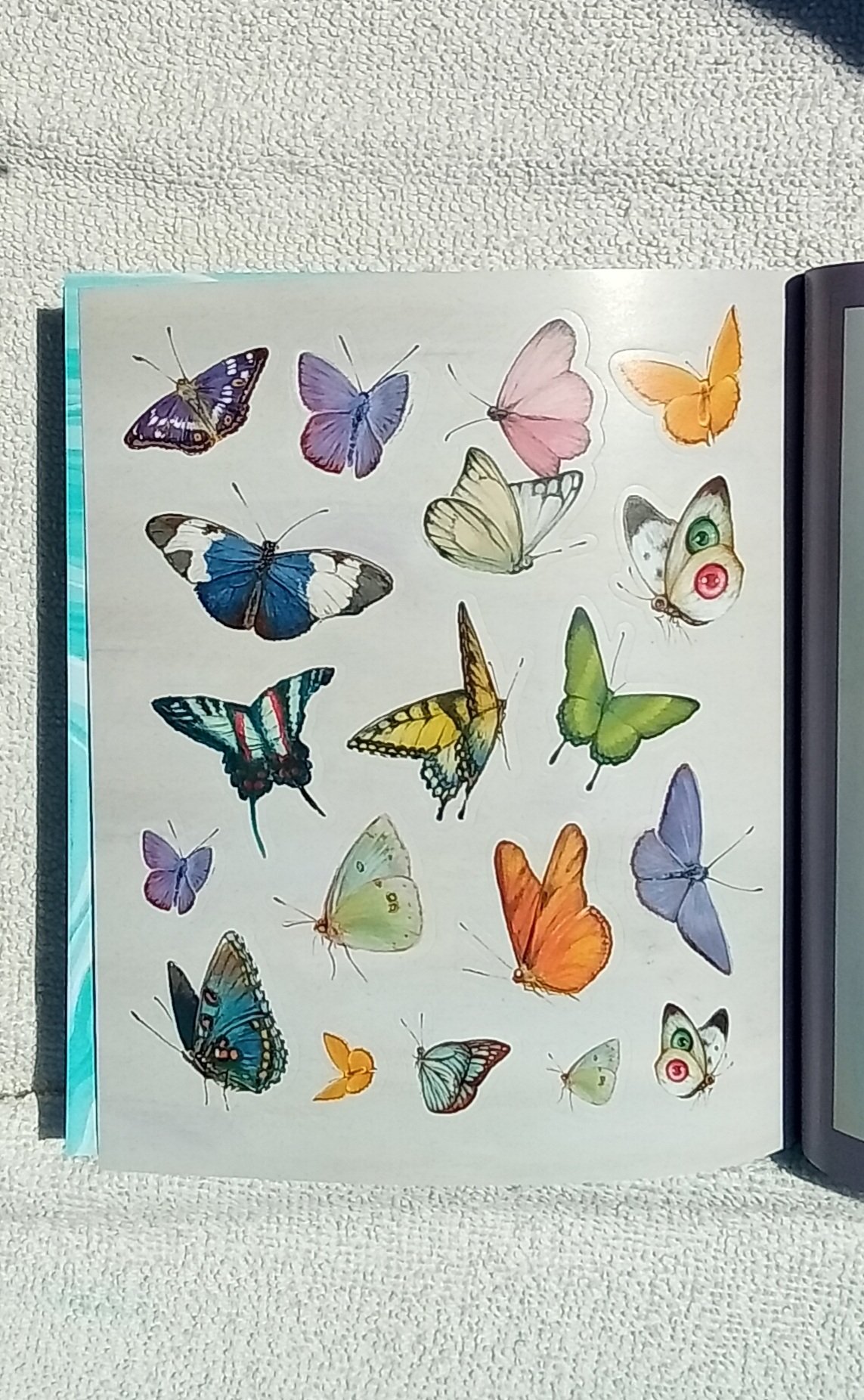 1000085688.jpg