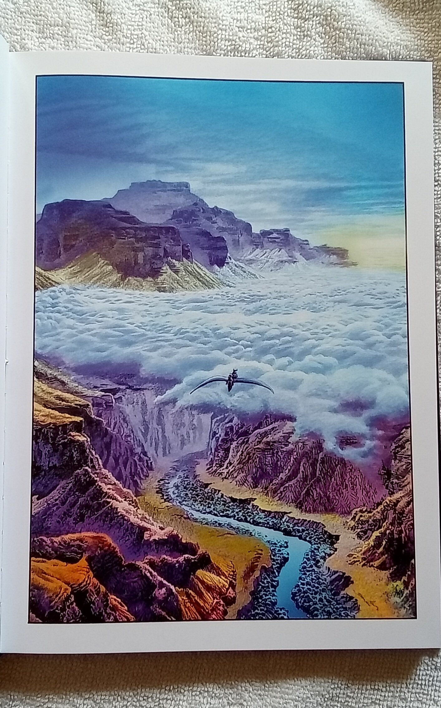 1000079593.jpg