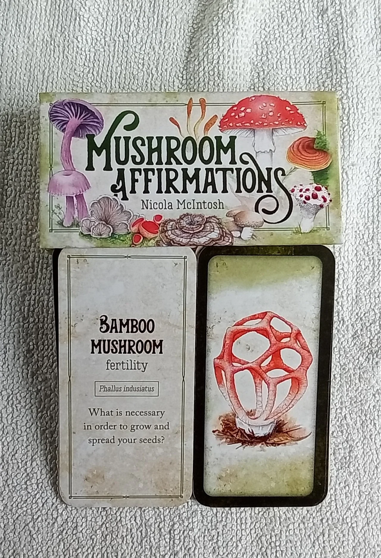 1000095324.jpg