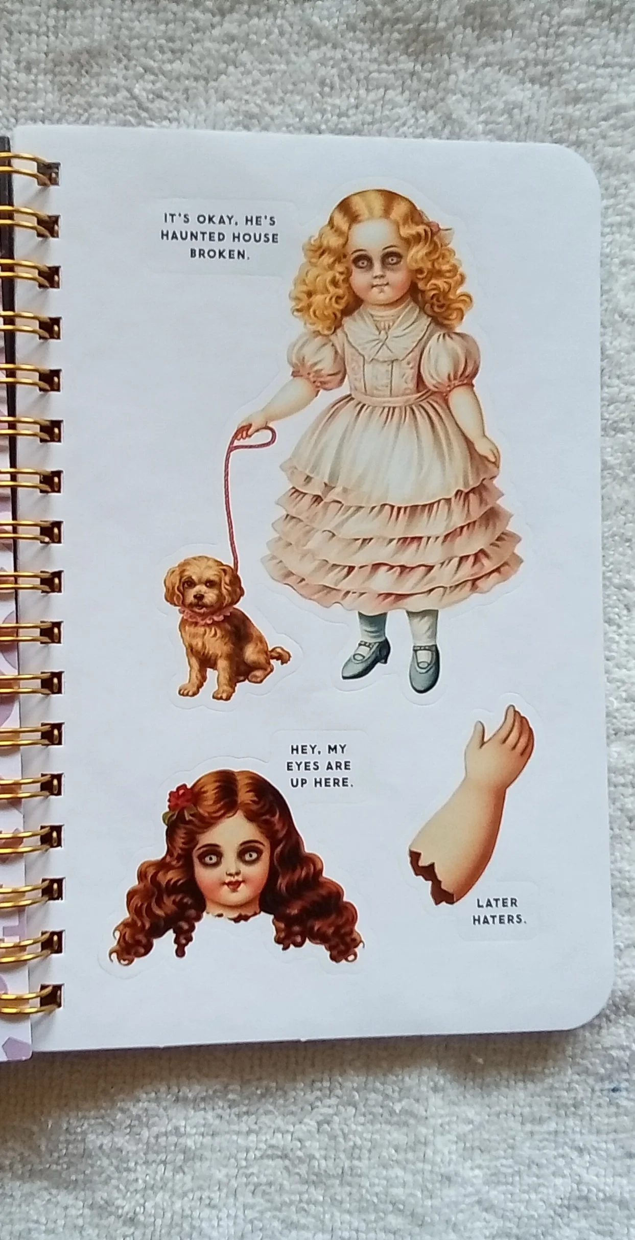 1000118166.jpg
