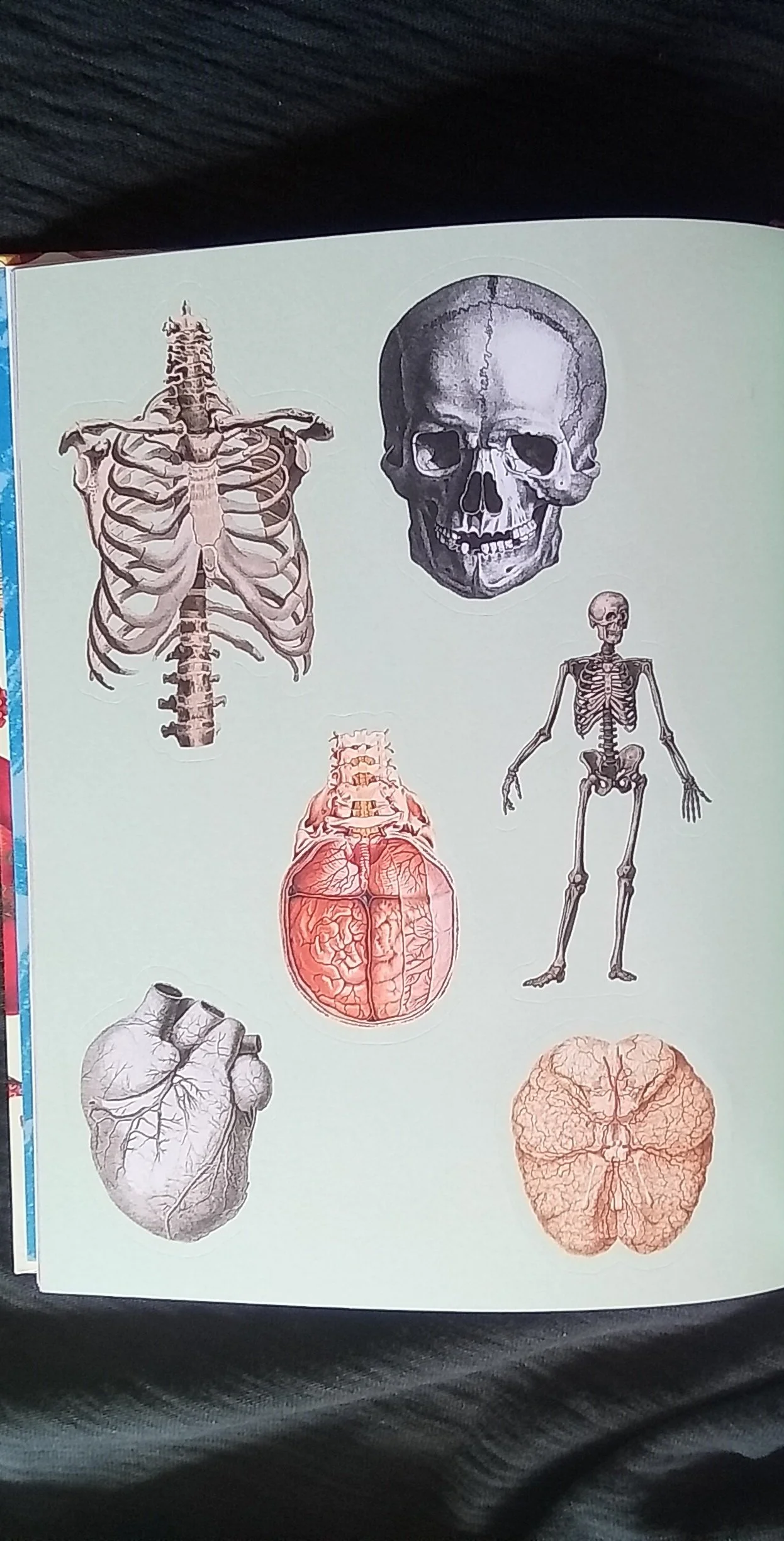 1000128064.jpg