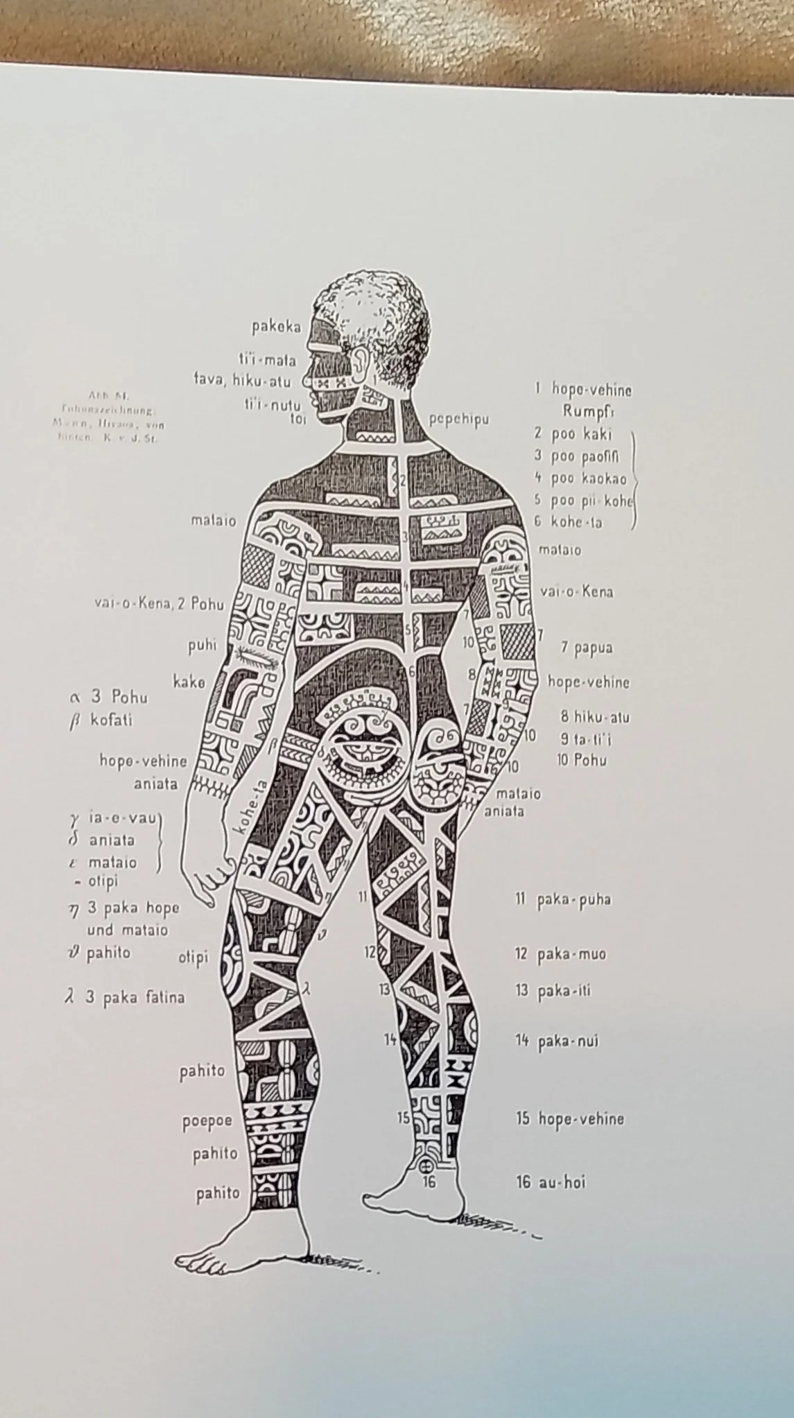 1000124395.jpg