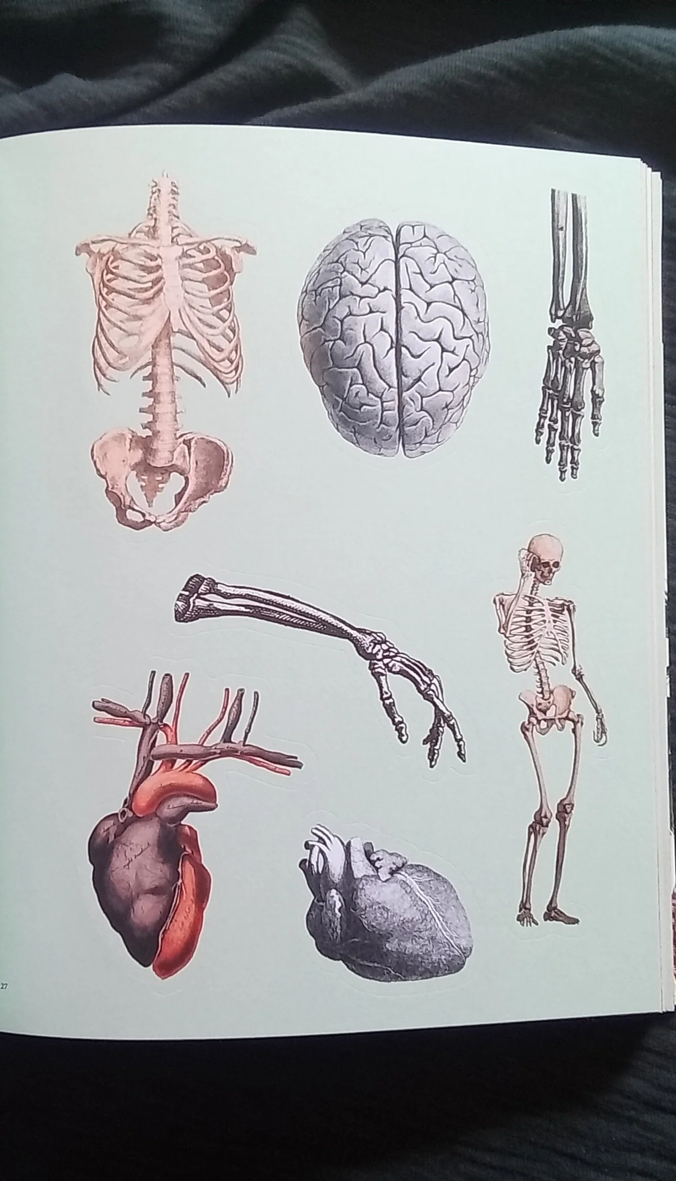 1000128065.jpg