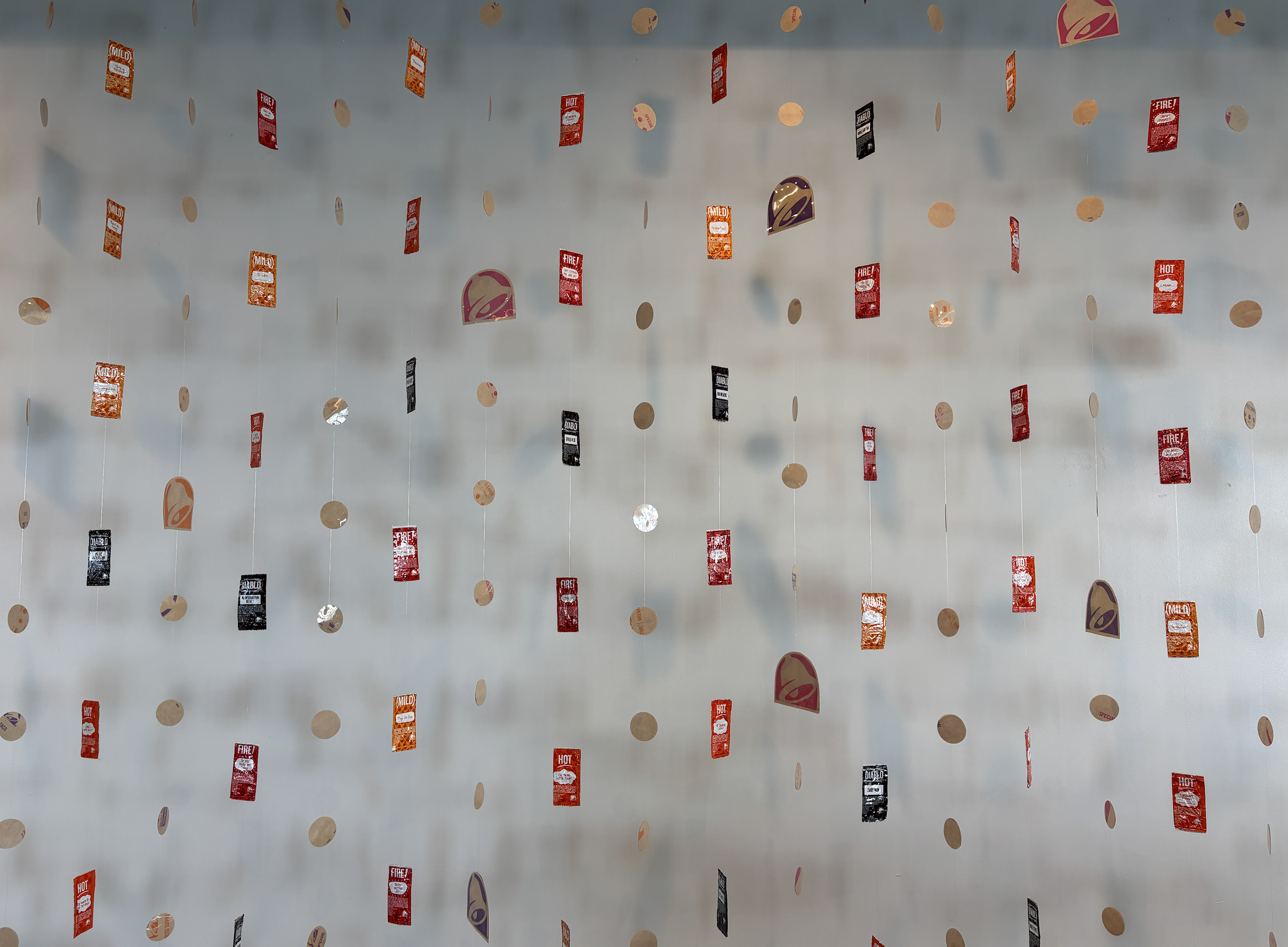 22ft/6ft Wall Display. 2025.
