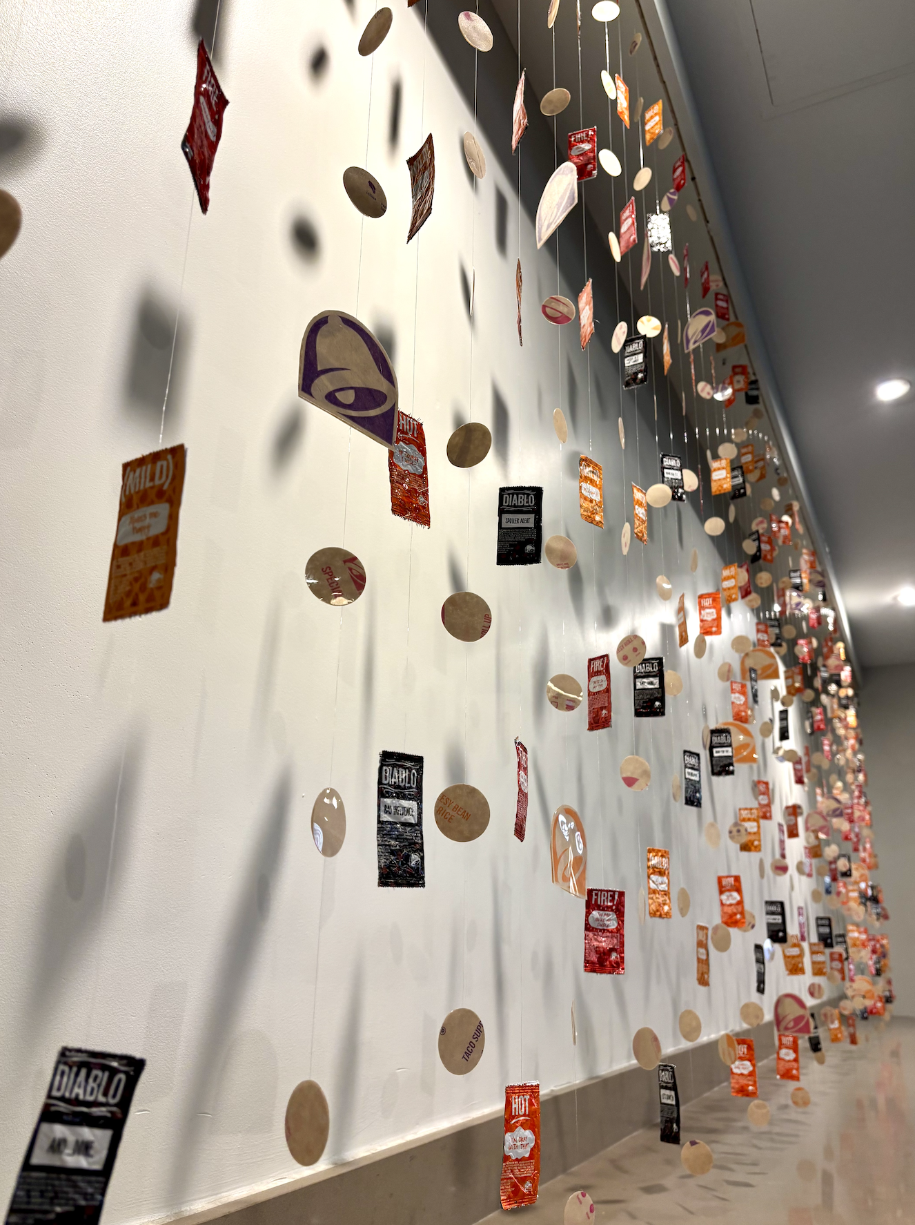 22ft/6ft Wall Display. 2025.