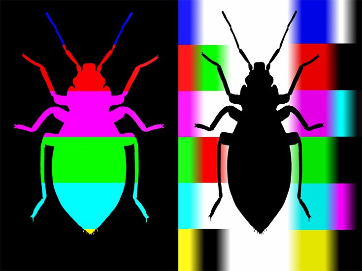 Hans Peter Riegel ARTIFICIAL SUBJECT 101.jpg