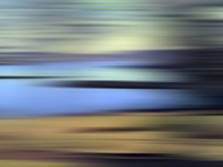 Hans Peter Riegel CAMLAND 65.jpg