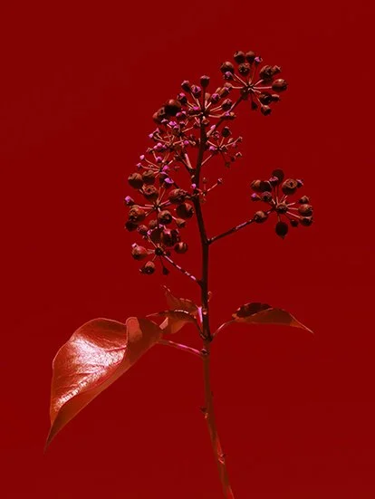 Hans Peter Riegel NIGHT PIECE 473.jpg