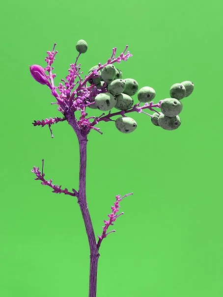 Hans Peter Riegel NIGHT PIECE 477.jpg