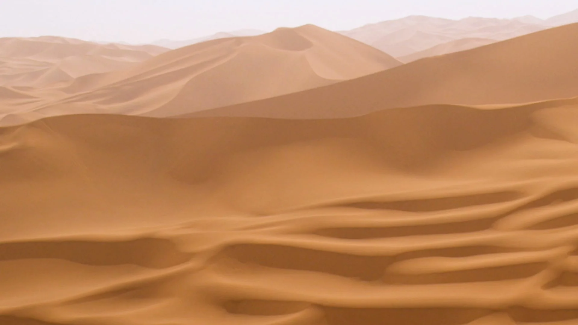 DISRUPTED SCENES STILL.jpg