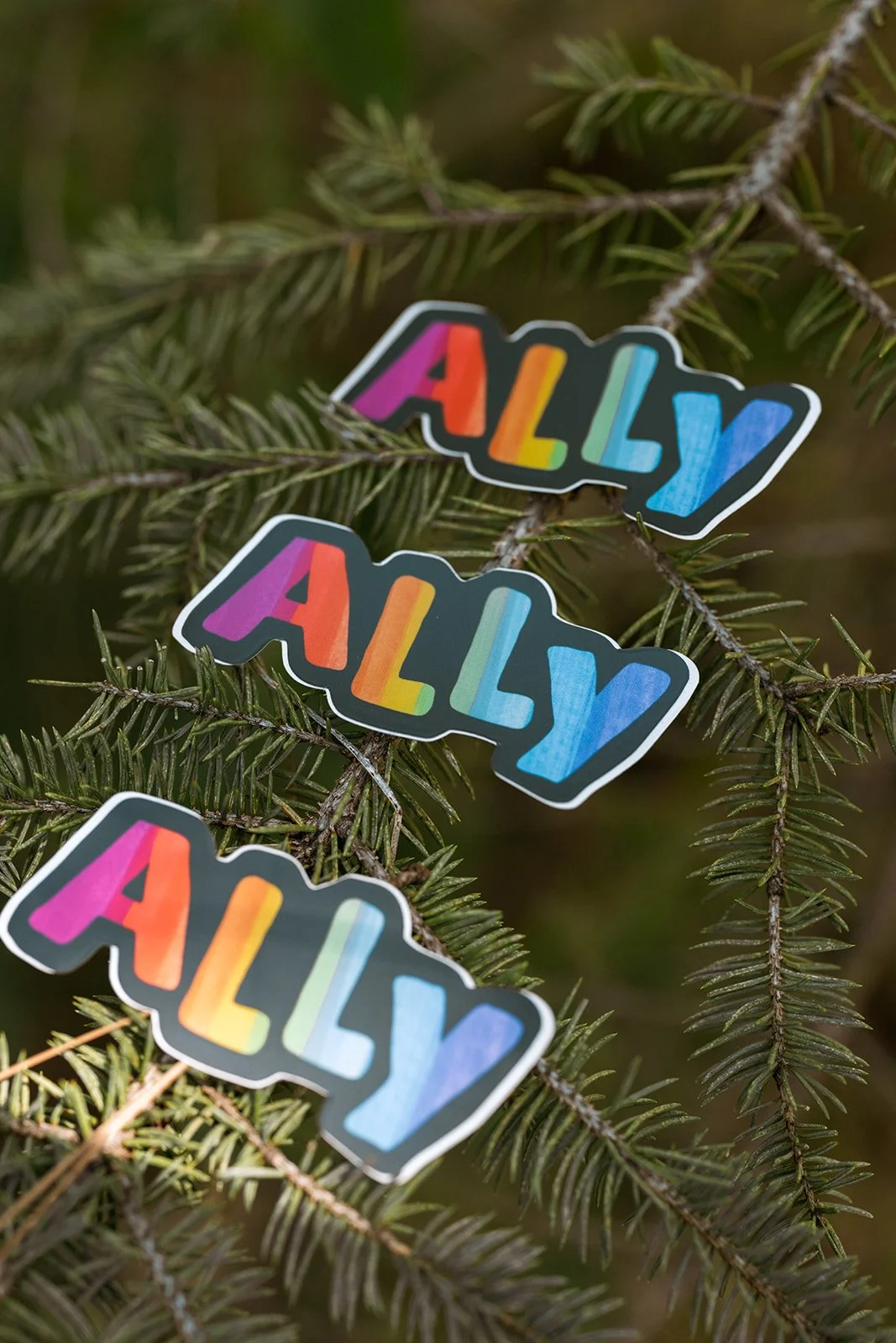 Ally Sticker 4.jpg