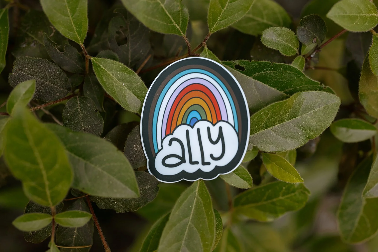Ally Rainbow Sticker 3.jpg