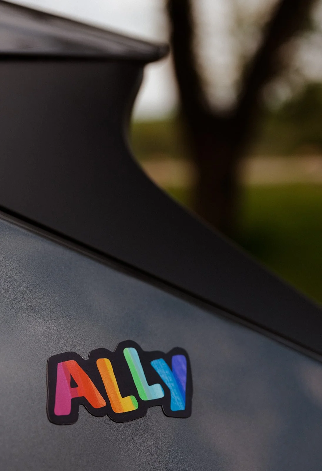 Ally Srticker 7.jpg