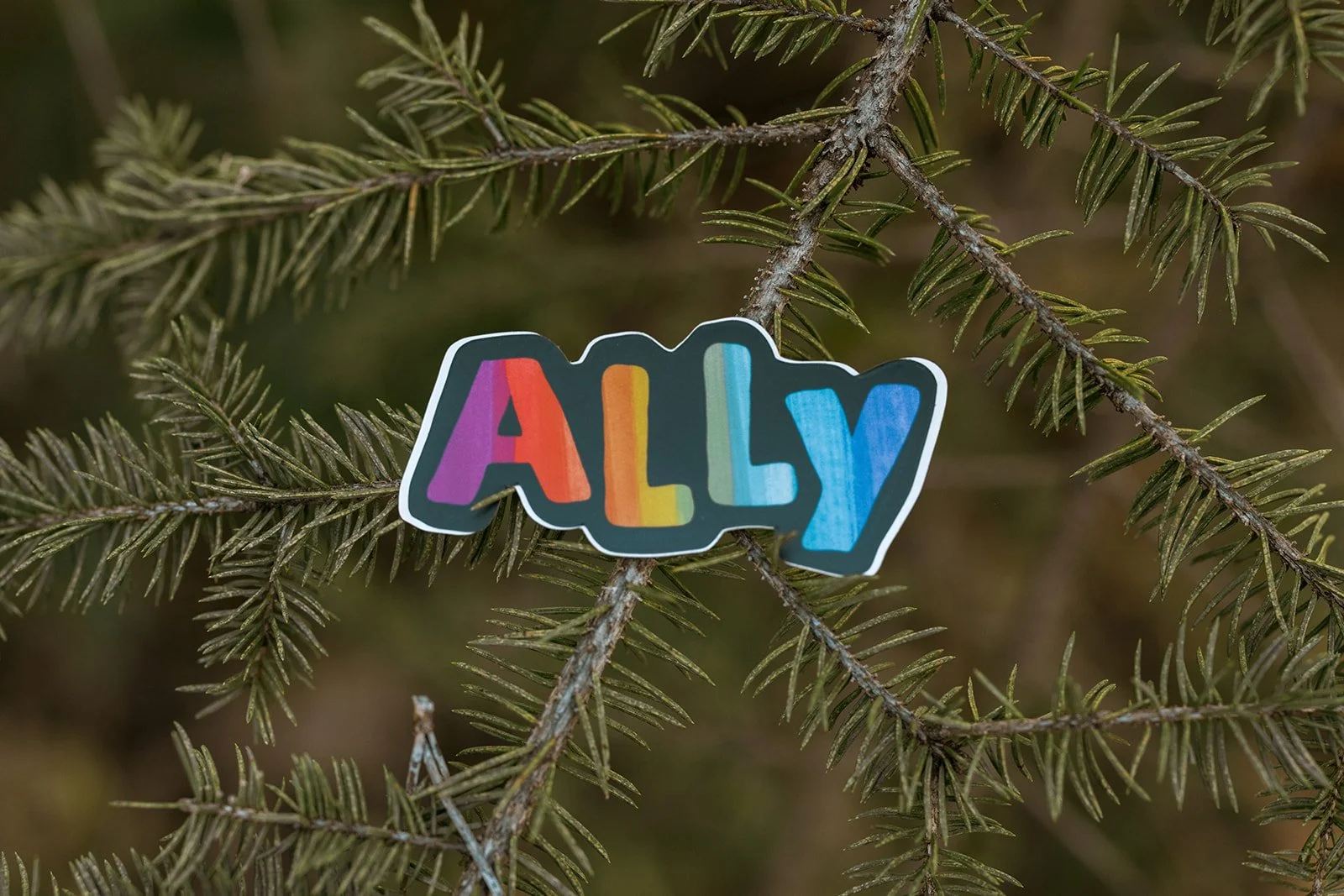 Ally Sticker 3.jpg