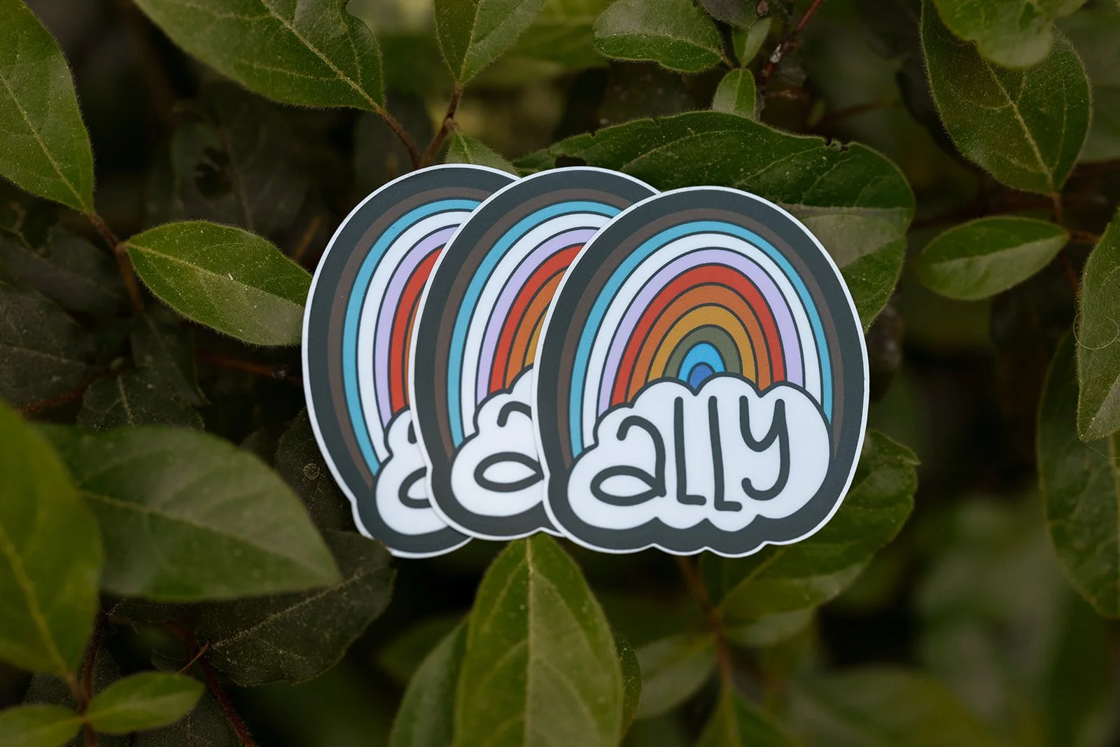 Ally Rainbow Sticker 4.jpg