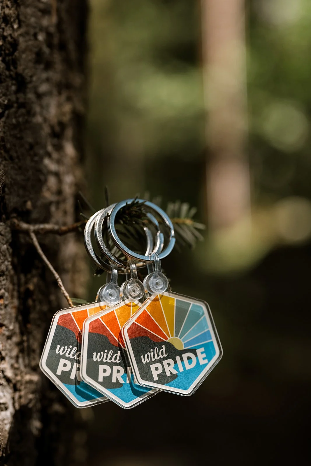 Wild Pride Keychain.jpg
