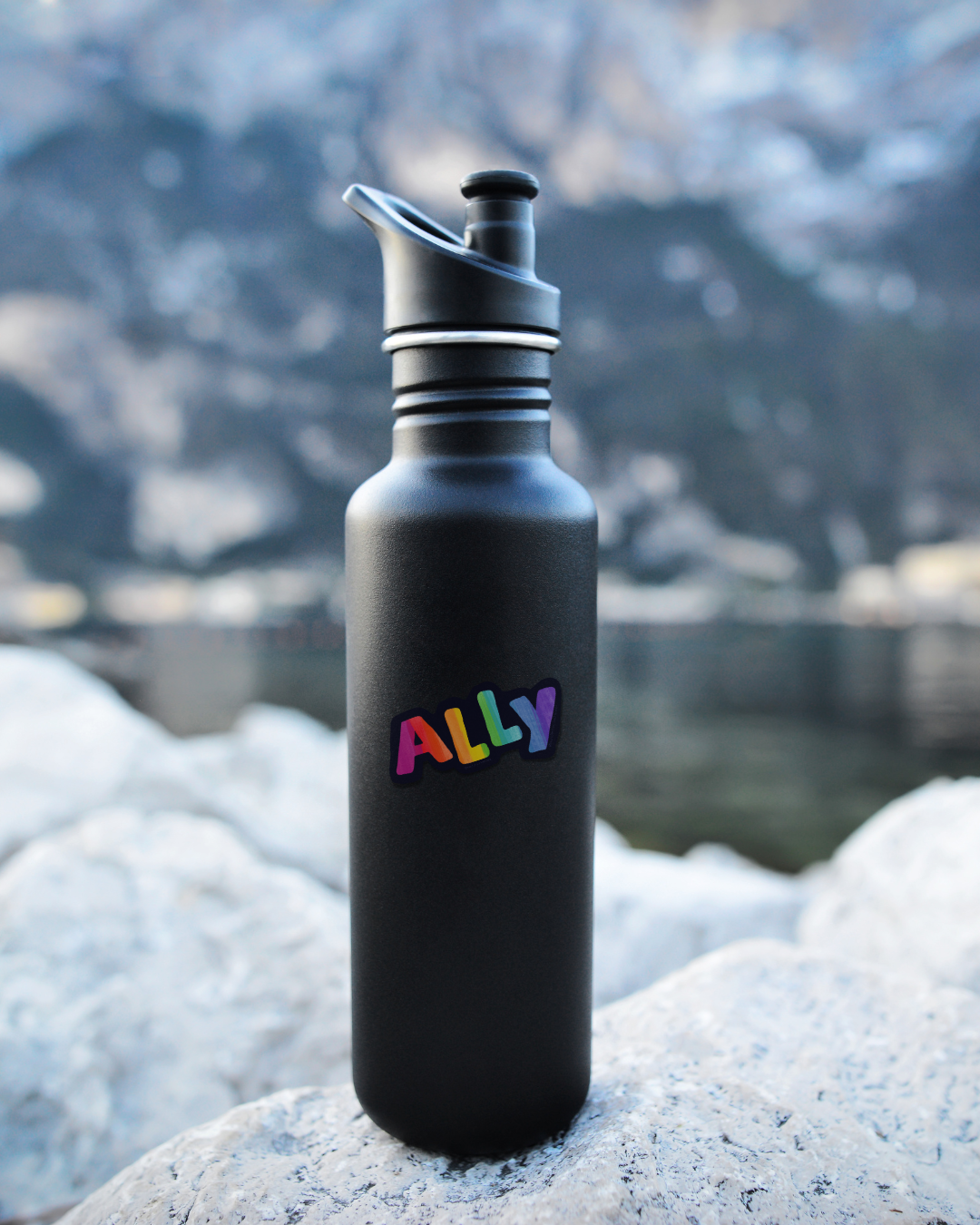 Ally Sticker 1.png