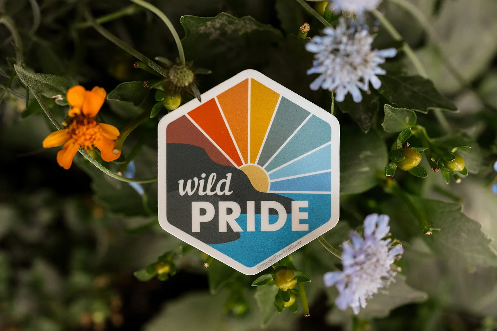 Wild Pride Sticker 1.jpg