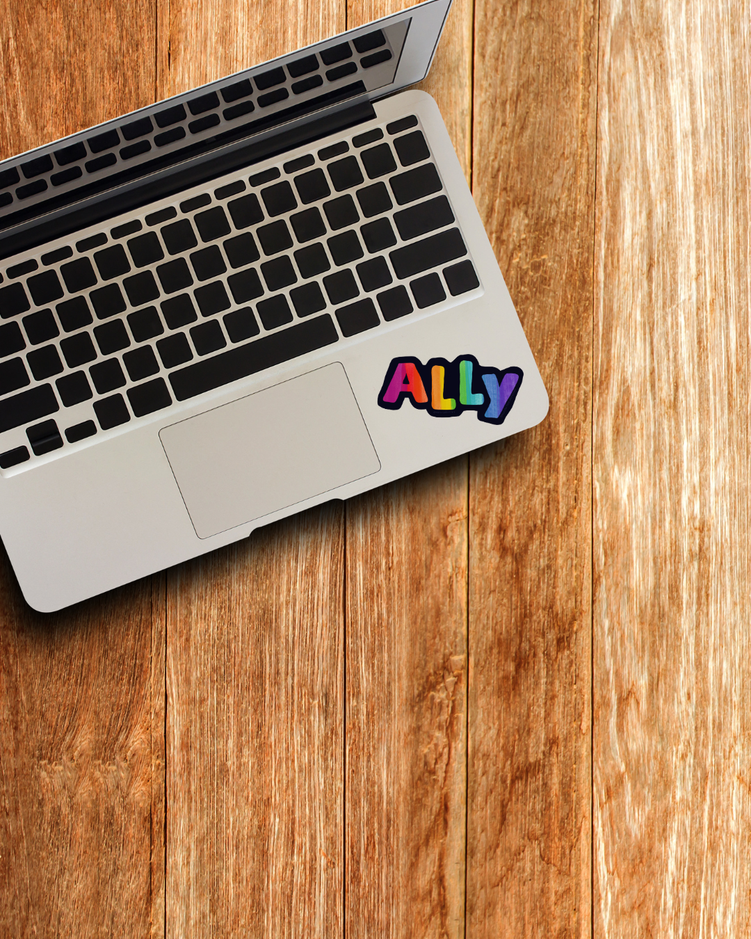 Ally Sticker 2.png