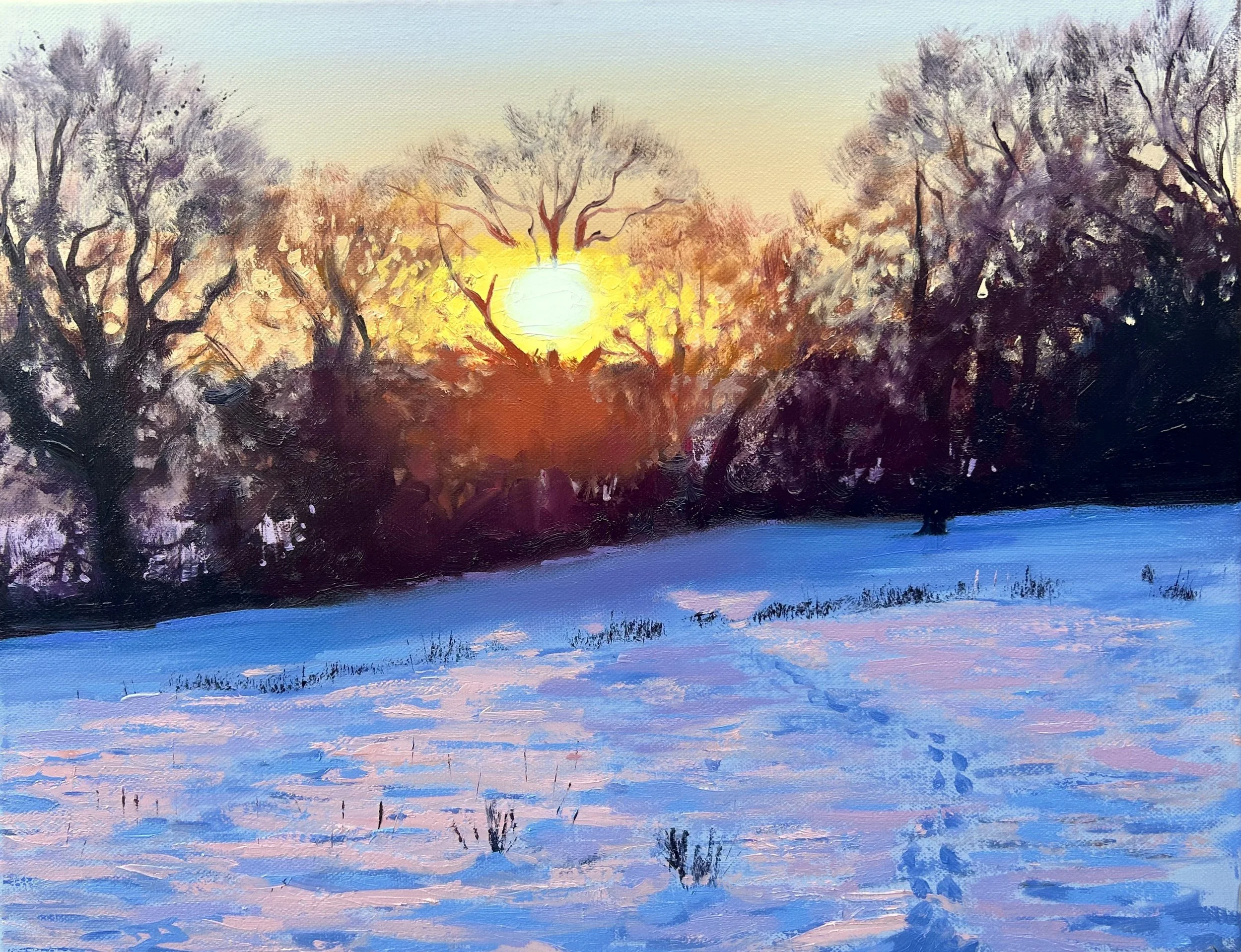 Winter Glow upon the Snow