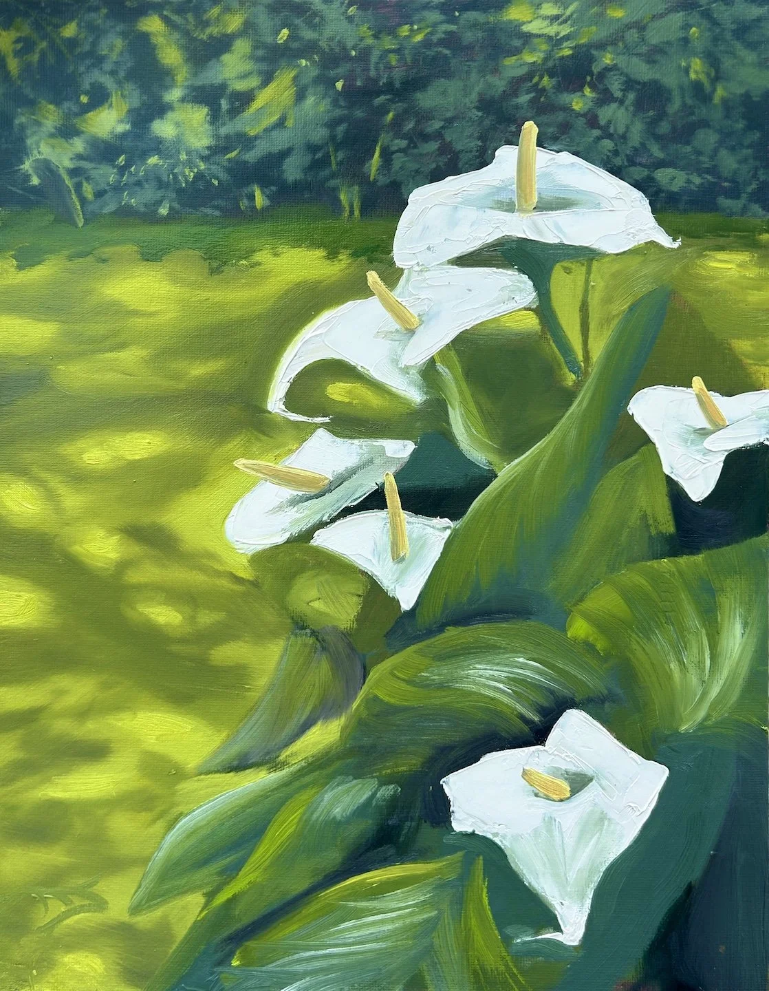 Painting retreat in North Devon May/June 2027