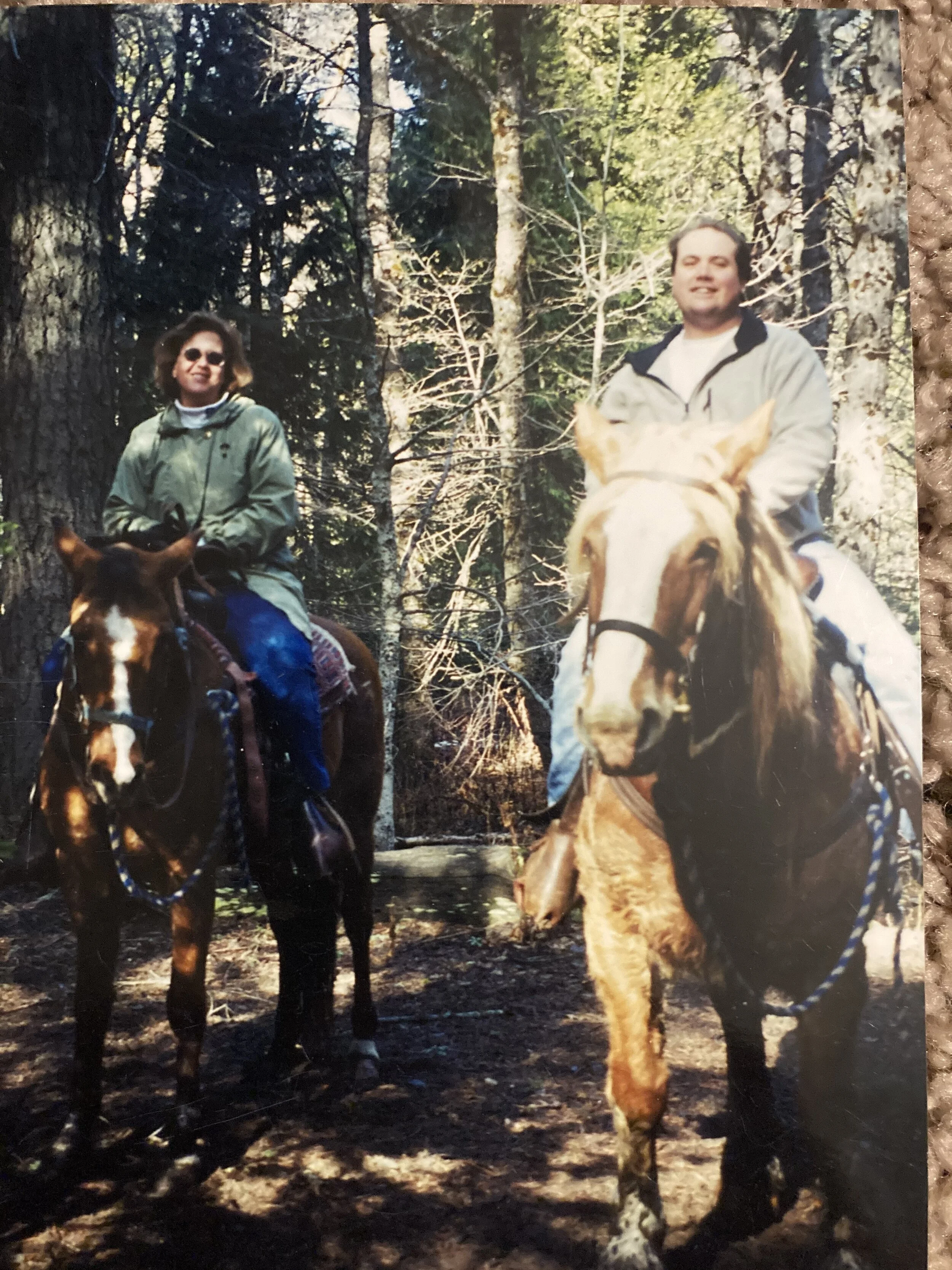 Brian Weber Horse.jpg