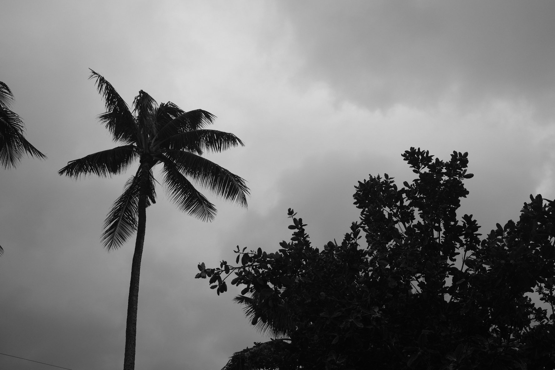 9CC36390-BE03-4064-A27C-60C9832A5D79-68319-00000C68EDB677A1.jpg
