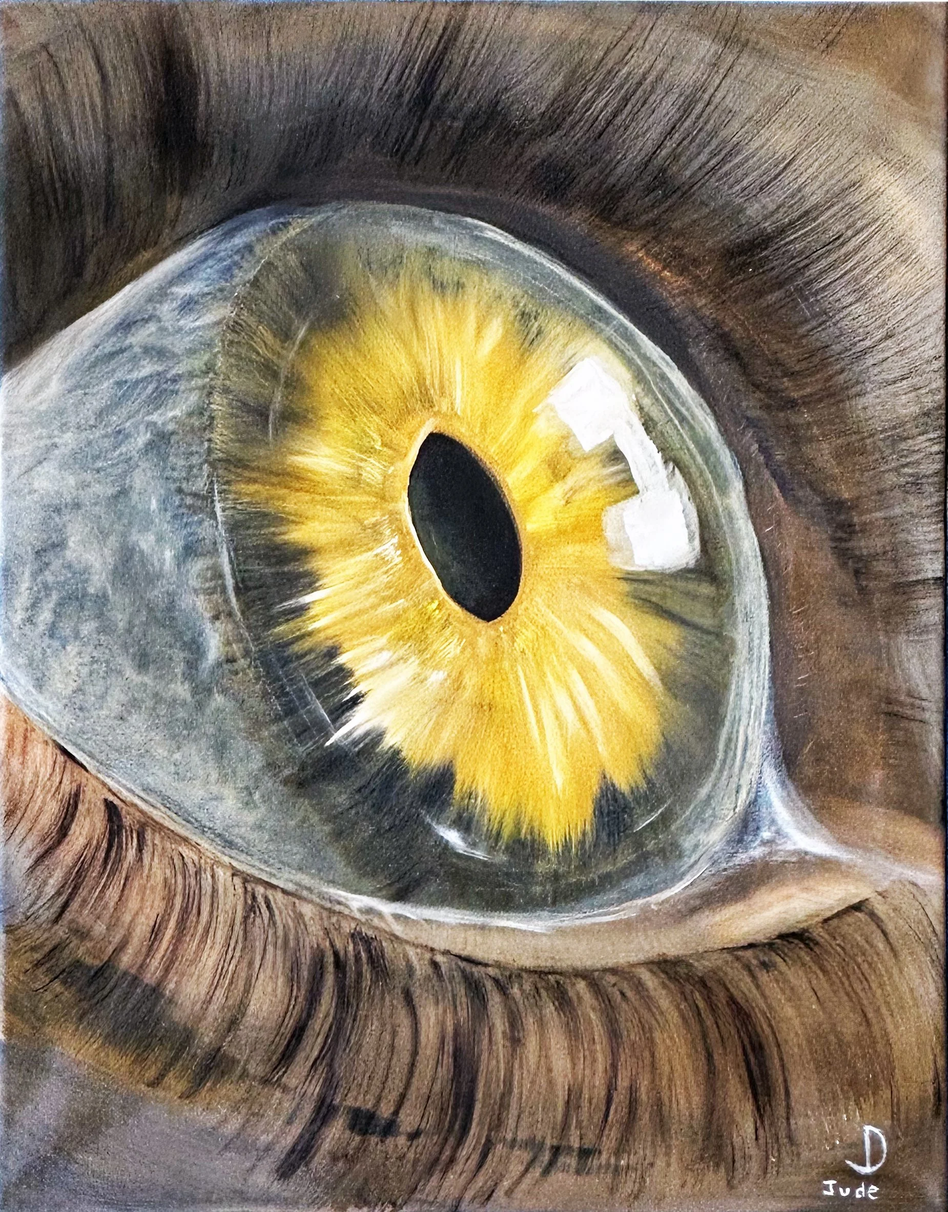  Vison of the Unknown  
Oil on Canvas - 16" x 20" 
$250.00