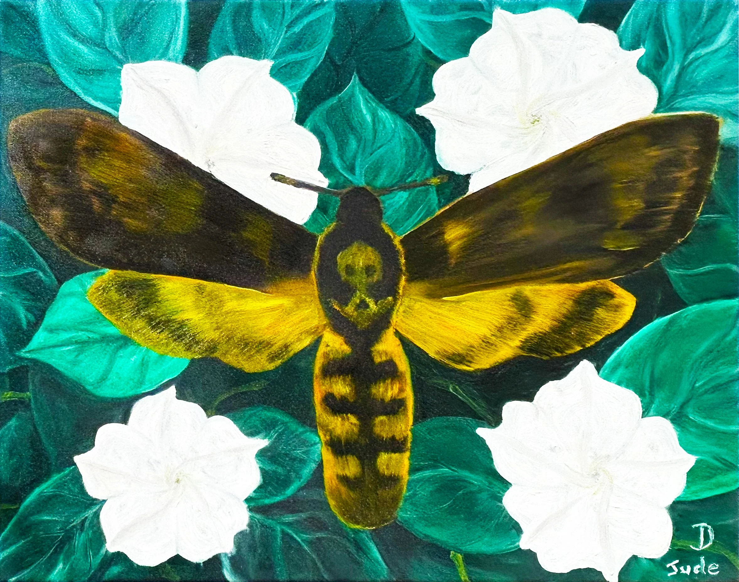  Night Bloom  
(Death's Head Hawk Moth) 
Oil on Canvas - 16" x 20" 
$400.00