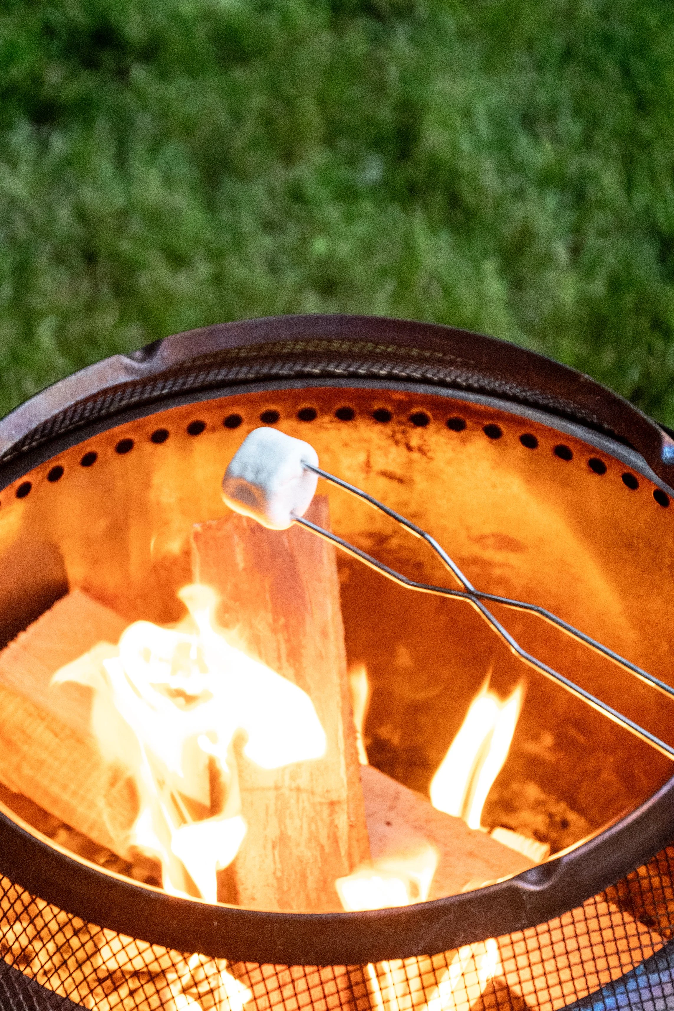 Cape Cod_June25-31.jpg