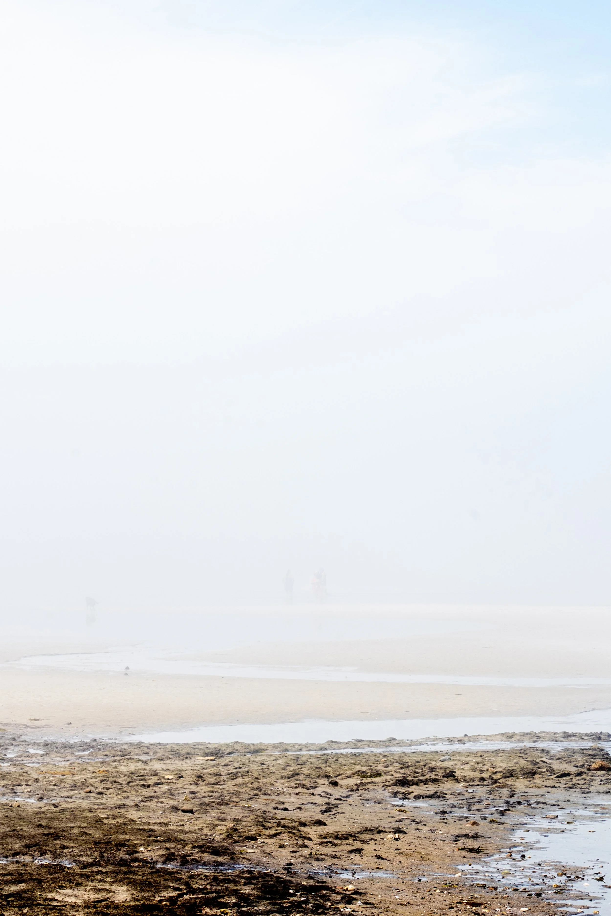 Cape Cod_June25-12.jpg