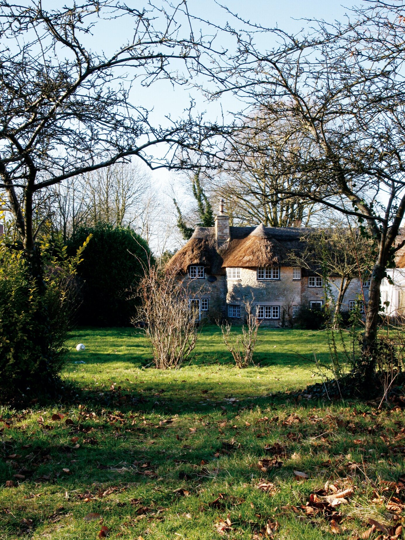 RANDOM+THATCH+-+rear+garden+house2.jpg